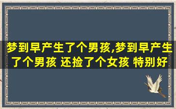 梦到早产生了个男孩,梦到早产生了个男孩 还捡了个女孩 特别好看